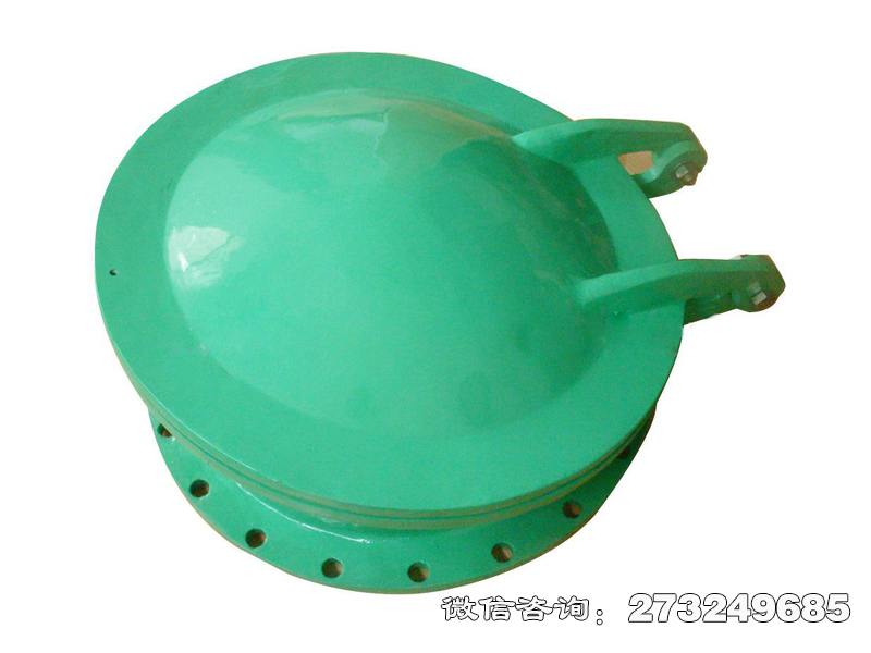 富阳耐腐蚀管道玻璃钢拍门
