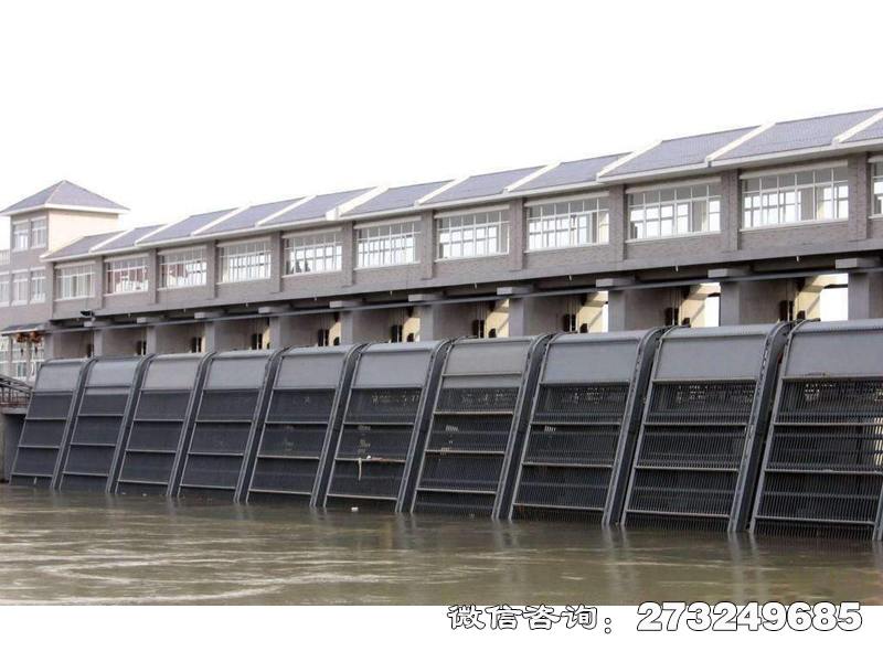 富阳电厂拦污栅条清污机